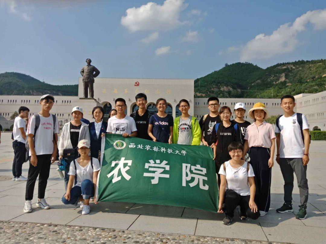 作家玖月晞“告读者案”胜诉
